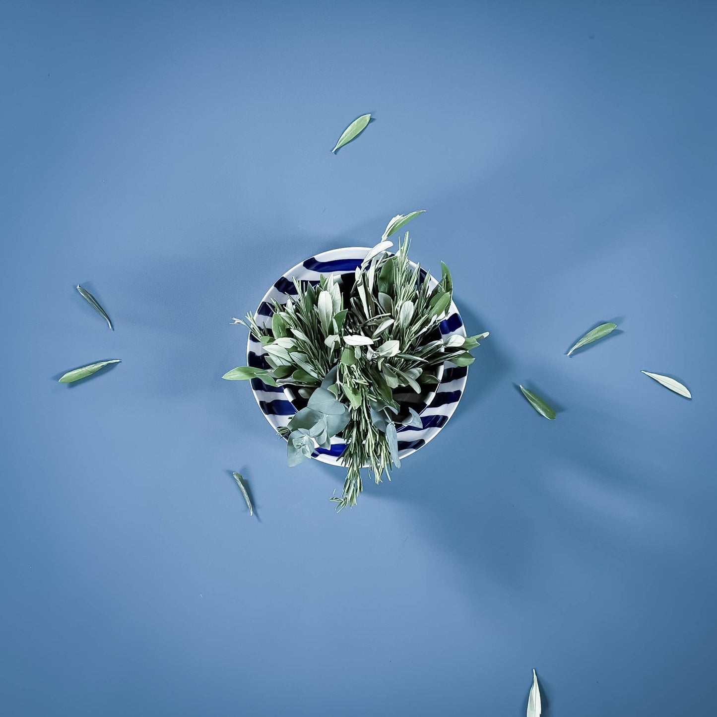 Bol Stripes - mare blue