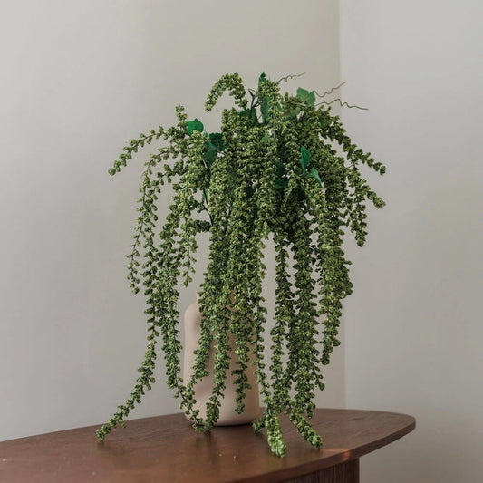 FLEUR AMARANTHE VERTE