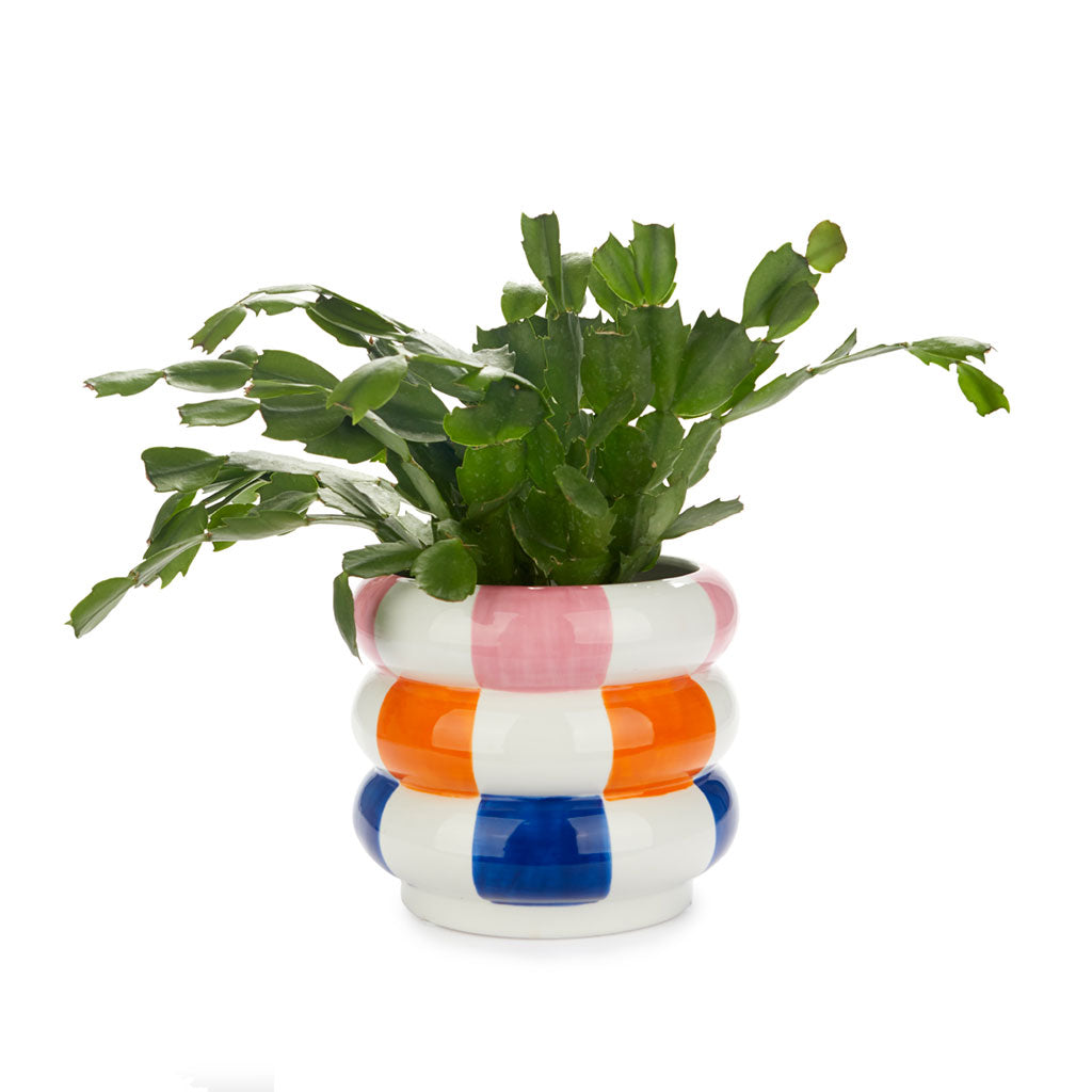 POT À RAYURES MULTICOULEURS