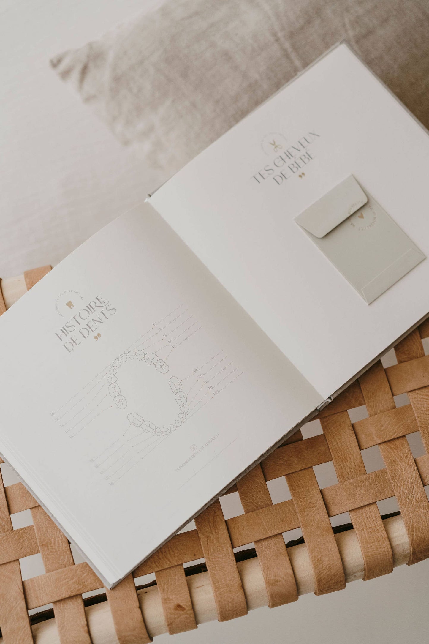 LIVRE DE NAISSANCE EN VELOURS
