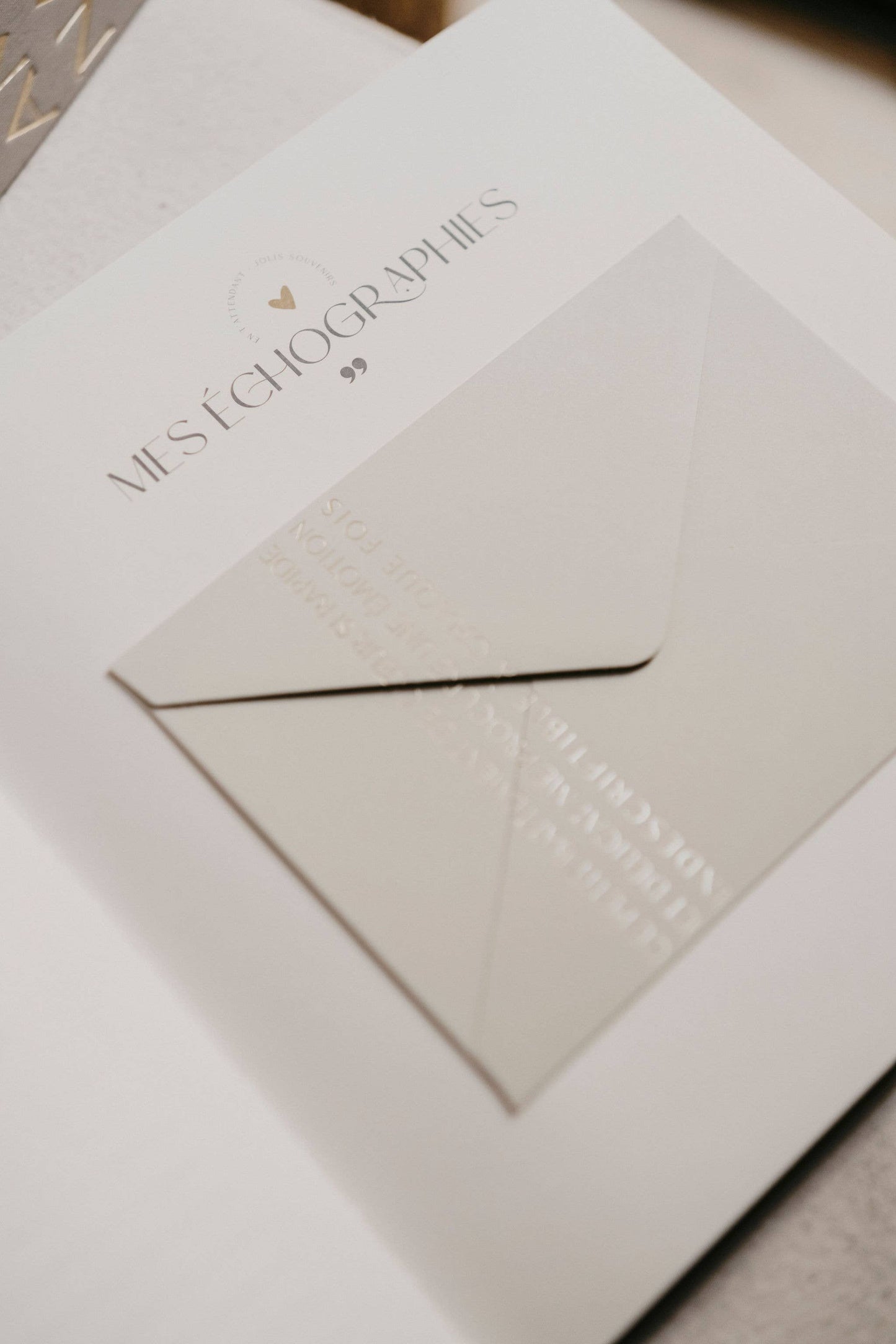 LIVRE DE NAISSANCE EN VELOURS