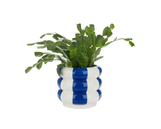 POT À RAYURES BLEU