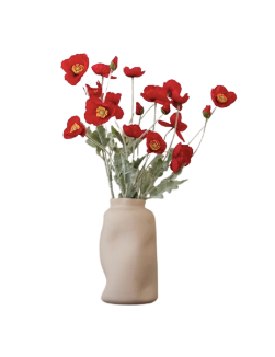 COQUELICOT ROUGE