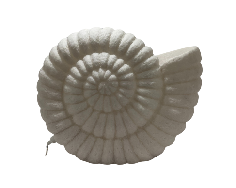 Lampe coquillage