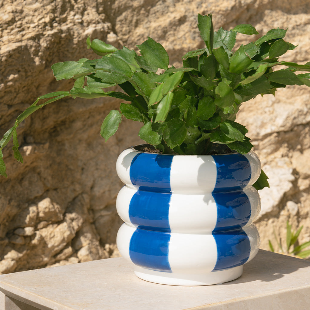 POT À RAYURES BLEU