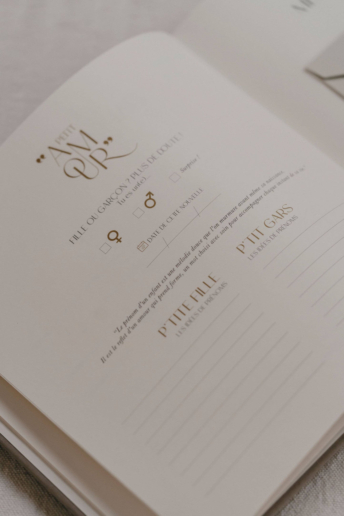 LIVRE DE NAISSANCE EN VELOURS