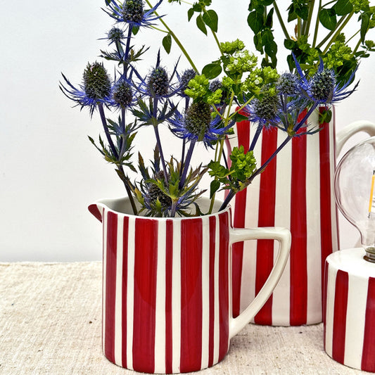 PETIT PICHET RAYURES - Rouge